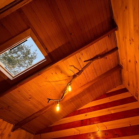 コチャモ Patagonia Nativa Bed & Breakfast エクステリア 写真