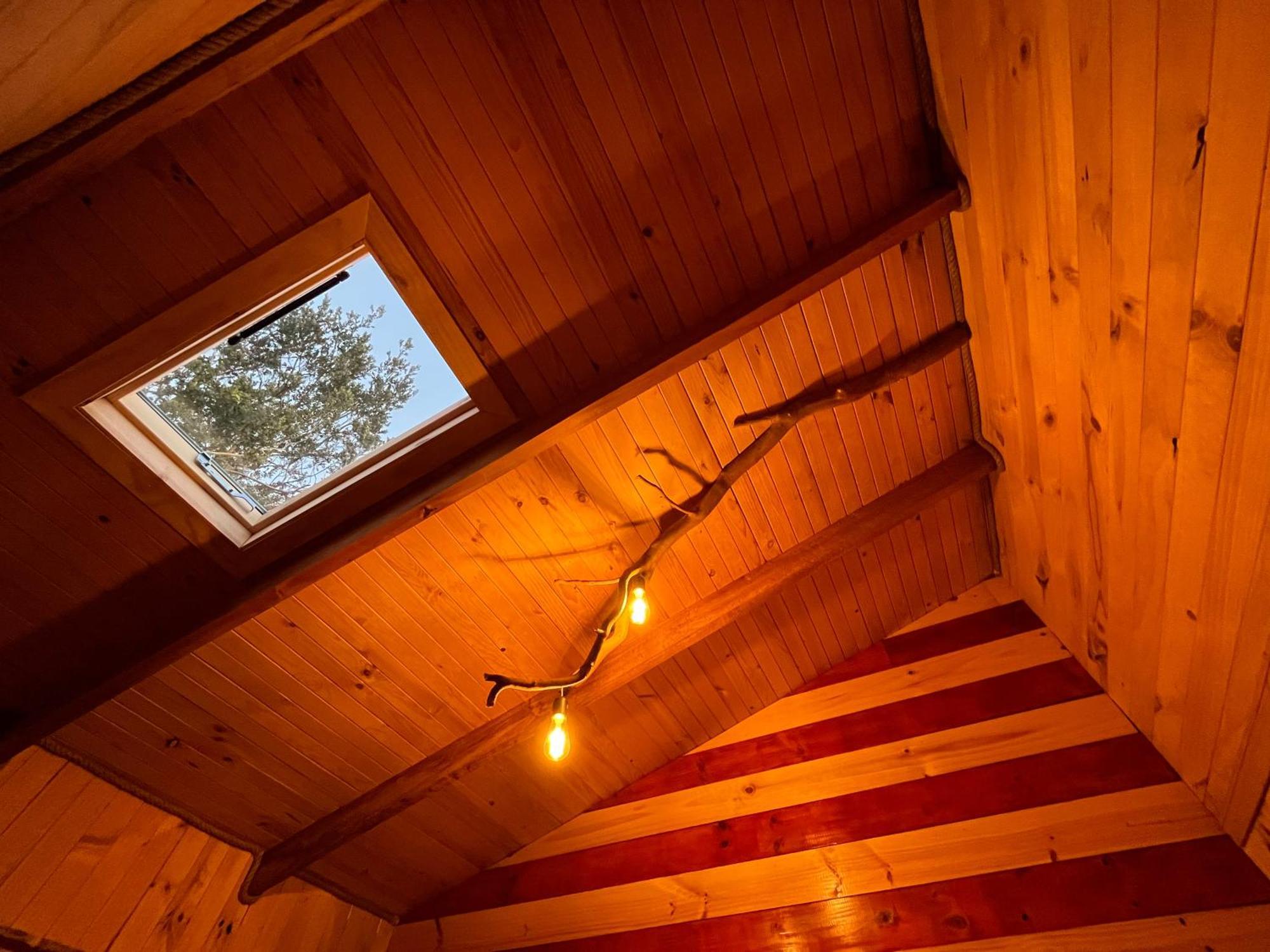 コチャモ Patagonia Nativa Bed & Breakfast エクステリア 写真